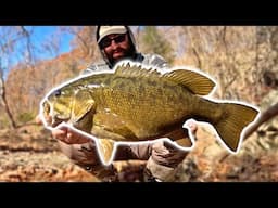 This TINY CREEK is LOADED with BIG SMALLMOUTH BASS!  LATE FALL CREEK FISHING!