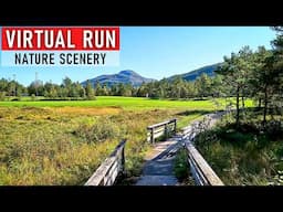 Fantastic Nature Scenery! Don't Miss Out | Virtual Run