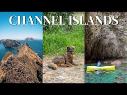 Channel Islands National Park 101: Essential Tips for First-Time Visitors