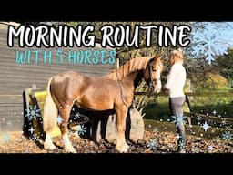 AUTUMN / WINTER MORNING ROUTINE WITH 5 HORSES