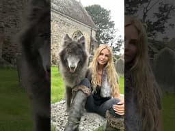 Viking Girl & Wolf - #vikingwolf #vikings #fenrir #wolf #bluewolf #vikinggirl