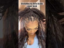 How long can you go in braids? #braids #bohobraids #knotlessbraids #braids #braidstyles