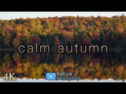 [4K] Calm Autumn from NE USA 🍁1 HR Ambient Nature Film + Soothing  Piano Music