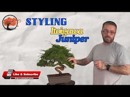 How To Style & Wire Itoigawa Juniper Bonsai