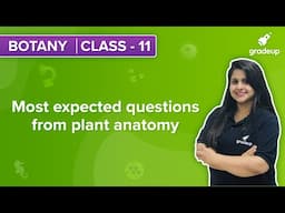 Most expected questions from  plant anatomy