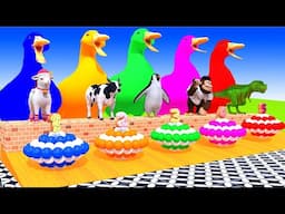 5 Giant Duck Cartoon,Lion,Cow,rabbit,Gorilla,Chicken,Dog,Cat Wild Animals Crossing Fountain 2023