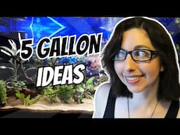 10 Species for Your 5 Gallon Aquarium | Fish Stocking Ideas for 5 Gallon Tanks