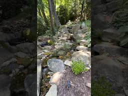 A Pondless Waterfall Created By @blackkoiwaterfeatures nestled into a wooded hillside.