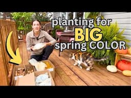 creating a *NEW* garden for BIG spring color! Cut flowers and Bulbs