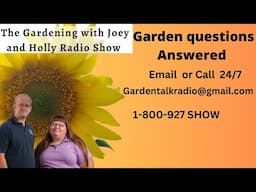 Seg 4 of S8E34 garden questions answered, loofahs, yacons, safe canning harvesting broccoli - radio