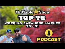 Top 75 Weeping Japanese Maples #'s 75 - 51 | MrMaple Show Podcast