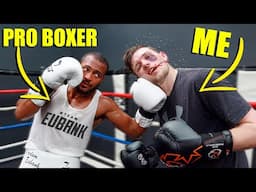 I BOXED A PRO BOXER WITH 24 HOURS TRAINING!!