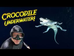 UNDERWATER Encounter with Huge CROCODILE!