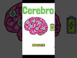 👉👉¡REVELADO! Los Efectos de la CREATINA en tu CEREBRO #creatina #suplementos #cerebro