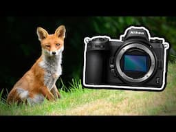 Nikon Z6 for Wildlife Photography? My First Impressions