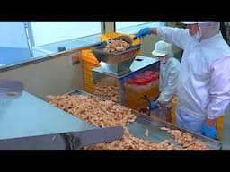 Amazing Mass Production! Fish Snack Making Process. Korean Food Manufacturing Plant