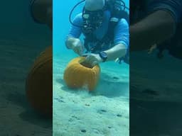 Underwater Pumpkin Carving | #Shorts