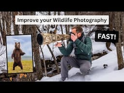 The Wildlife Photographer's roadmap. Mastering different types of images to improve your photography