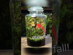 Creating a Waterfall Terrarium - Part 1