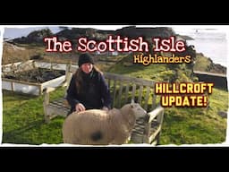 Hillcroft Update!