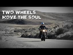 Harley Roadster XL1200CX | Life on Two Wheels | Wheel Stories