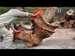 Don't Believe If Don't See: Creative Guy Turns Worthless Tree Stump to Thousand Dollar Coffee Table