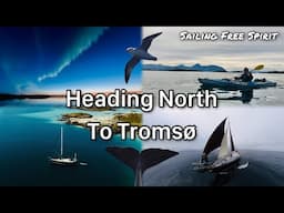 Heading North to Tromsø - Sailing Free Spirit