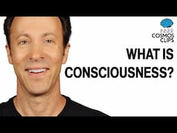 What is Consciousness? | INNER COSMOS WITH DAVID EAGLEMAN #shorts