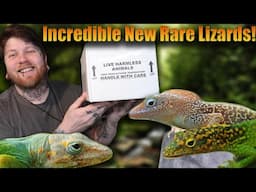 These Are The Most INCREDIBLE Looking Reptiles I've Ever Seen [Rare Reptile Unboxing]