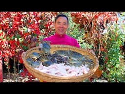 A MUST-TRY Crab Recipe! Stewed with Abalone and Chicken Feet for best Taste!| Uncle Rural Gourmet