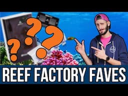 Thomas’ TOP 3 Picks From Reef Factory!