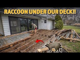 Getting Rid of Our Unwanted Roommate | Building a New Backyard Deck - Part 1: Demolition