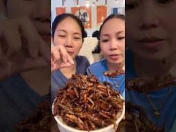 FRIED GRASSHOPPER Exotic Food from South Cotabato 🇵🇭#exoticfood #travel #shorts #short #viral