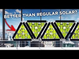 Why Algae Solar Panels are The Future of Energy Generation