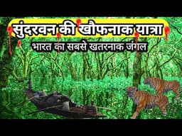 सुंदरबन जंगल की खौफनाक दास्तान की एक कहानी ,The Sundarban  India's Most Dangerous Forest