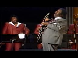 One of BB King's Greatest Ever Guitar Solos!