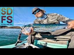 Traveling Baja California & Solo Skiff Fishing The Northern Sea of Cortez | Sierra Mackerel Recipe