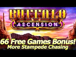 Buffalo Ascension Slot, 66 Free Games! Was The 3rd Bonus the Charm? Super Stampede chasing in Vegas!