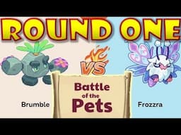 INSANE!!! Battle of the Pets  Brumble VS  Frozzra!!! Prodigy Math Game!!!