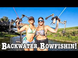 Bowfishing CREEKS Loaded W/ Fish and INVASIVES On LABOR DAY WEEKEND!!! (They’re Everywhere!!)