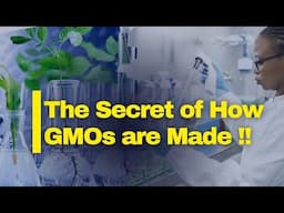 How GMO Crops Are Made: The Science Behind Genetically Modified Agriculture