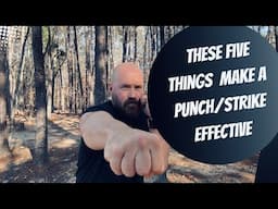 These FIVE Things Make A Punch/Strike Effective