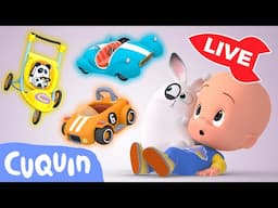 🔴 LIVE 🔴 Learn colors, numbers and shapes with Cuquín | Educational videos for kids