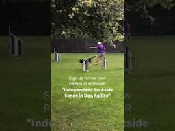 Get independent backside sends in dog agility#oneminddogs #dogagility