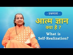 आत्म ज्ञान क्या है? (What is Self-Realisation?) | Spiritual Insights | SWAMI KRISHNACHAITANYA