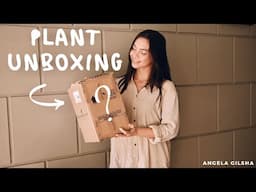 Unboxing new houseplants!| Plant care #eps1