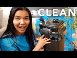 I cleaned my GROSS turtle tank filter (How to Clean a Cascade Canister Filter - step by step)