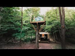 Building a Tree Fort and Camping in it | Off-Grid dream property