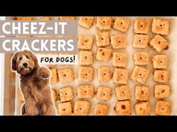 Homemade Cheezeit Dog Treats: Easy Diy Recipe For Your Pup! Only 5 ingredients!