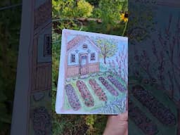 garden sketch #watercolor #sketchbook #naturesketch #artjournal